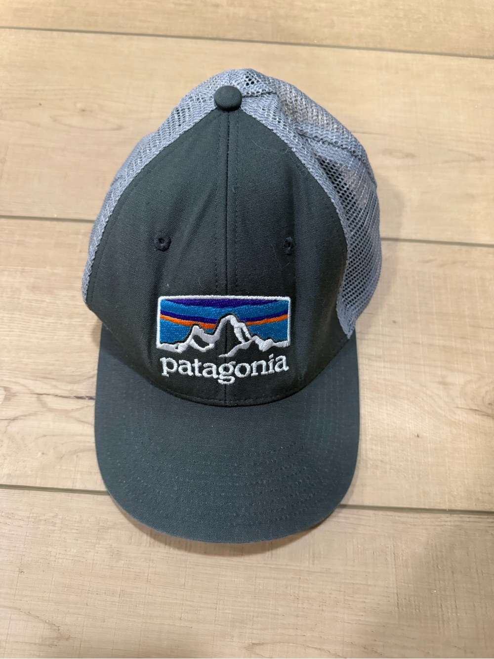 Patagonia Trucker Hat Unisex